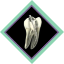 Endodoncia